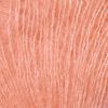 Picture of Aerial